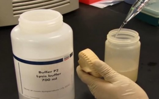 【Abnova】质粒大提 Plasmid DNA Extraction (Megaprep)