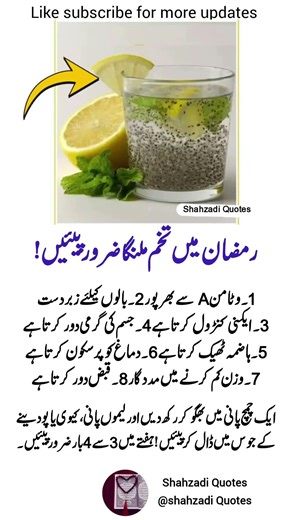 4 Life Lessons in Quotes That Will Motivate You Every Single Day 💫