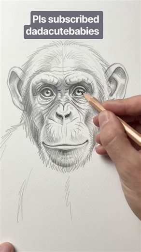 How to draw Chimpanzee?
