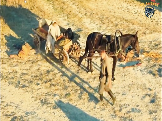 1.6M views · 11K reactions | Epic Happiness Alert! Watch and Smile Away Movie 2025 #Pandora #JamesCameron #CinemaMagic #FilmMagic #BeyondTheHorizonEpic | Extremadura U.D. | Facebook