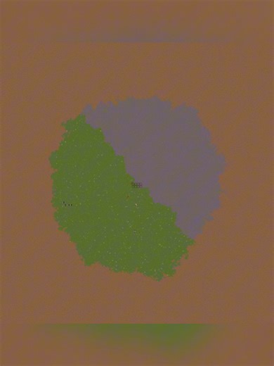 Grass vs Mycelium in Minecraft