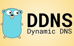 DDNS 动态域名解析 / 免费全平台支持Mac OpenWrt Lede Linux 软路由 / 比花生壳 3322更好用