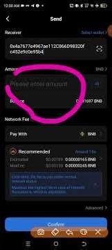 How To Send BNB & USDT BEP20 In Token Pocket? Full Hindi Guide