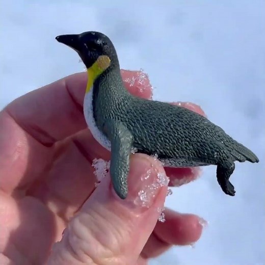PENGUIN SNOW REVEAL! ❄️🐧 Emperor Penguin Fun Facts #PinoyKids