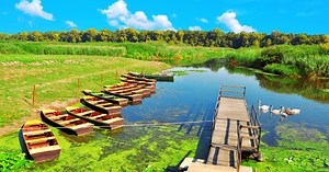 Najstarije područje koje je pod zaštitom u Srbiji bogato je živim svetom