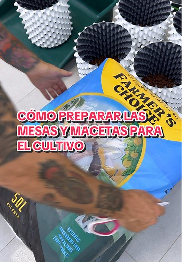 Montaje del Armario de Cultivo para Plantas