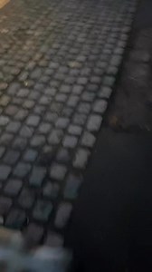 I said let’s put K9S Sutton Coldfield to the test. Lest see if all that money I spent on training was worth it.🤔 It was. Dog bless, no stress.😁🙌🐻‍❄️ | Dog Bless - No stress.