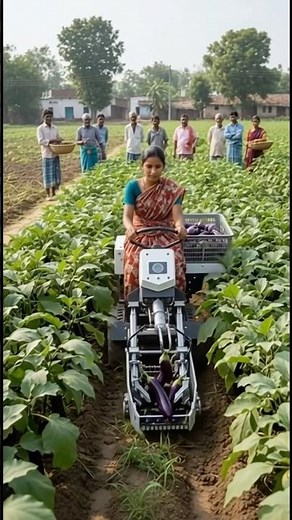 Smart Farming Robot Harvesting Egg plant in Indian Village🍆🤖 #farming #automobile #smartfarming