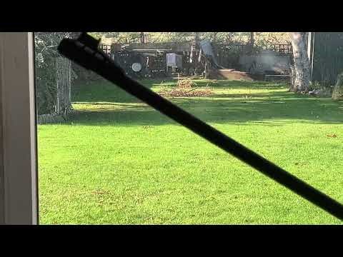 Walther LGV .22 vs Crosman Vantage .22 at 35 metres