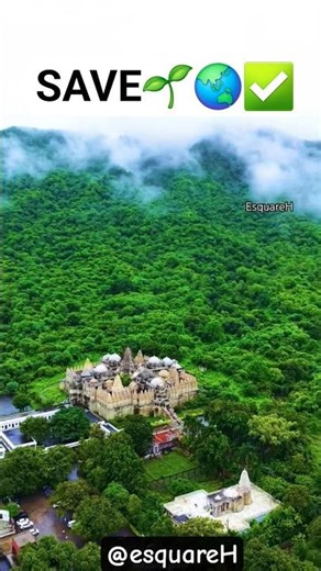 Aravalli Hills Are Dying 🥹| Wake Up India #shorts #viral #nature #savearavali #fyp #love #climate