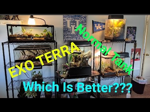 FRONT OPENING TERRARIUM VS TANK (Exo Terra Review)