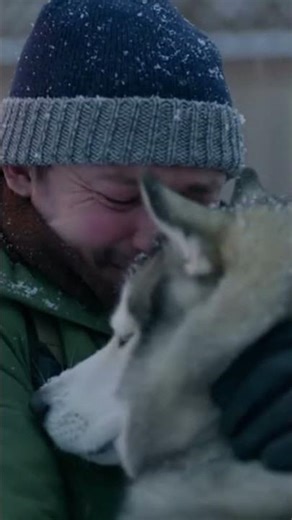 These Military Dog Reunions Will Absolutely Melt Your Heart 😭 #Shorts #dog