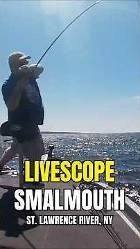LiveScope Smallmouth | St. Lawrence River Cast to Catch
