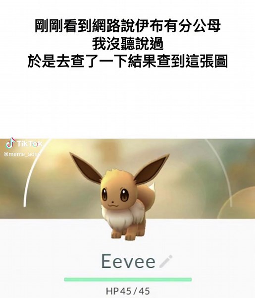 寶可夢梗圖解析：水伊布的男女之分
