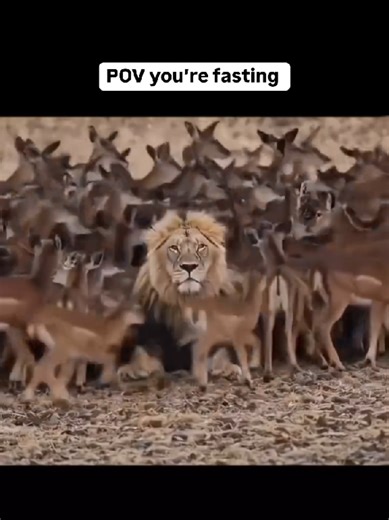 لما تكون صايم و الكل مفطر #foryou #explore #reels #عرب_تيك_توك #تيك_توك_عرب