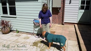 28K views · 189 reactions | Ruff and Tumble Dog Drying Coats are made with a unique double layer of natural cotton towelling. This means that, not only do they dry wet dogs fast, but they are also very effective cooling coats. Founder Alison Priestley shows you how to use a Ruff and Tumble Dog Drying Coat to quickly cool your dog. | Ruff & Tumble Dog Drying Coats | Facebook