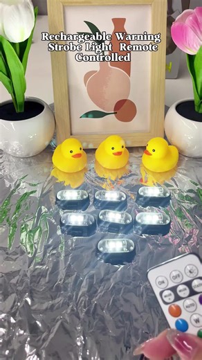 Tutu Car LED Light Maison on TikTok