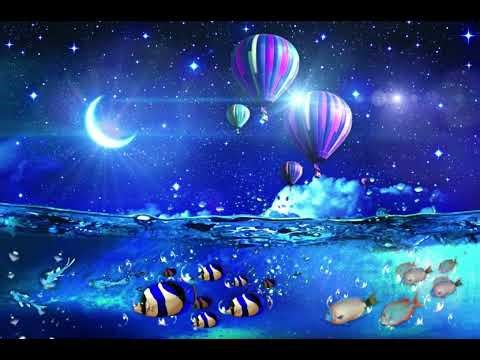 비밀의사중주 - 그곳에서