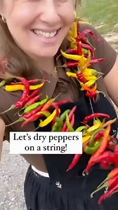 13 reactions · 3 comments | @mountain_girl_makes_it shows us how to preserve your peppers by hanging them on a string for frying! Watch the video to see how to string your peppers together! . . . . . . #vegogarden #fromgardentotable #gardenyourway #myuniquegarden #metalgardenbeds #raisedbedgardening #raisedbedgarden #raisedgardenbed #raisedgardenbeds #raisedbeds #raisedbed #gardenbeds #gardenbed #raisedgarden #peppers | Vego Garden | Facebook