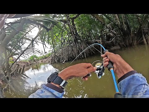 Fishing in a Small River Successfully Gets Lots of Fish