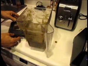 Blendtec Pomegranate Ice Cream Recipe