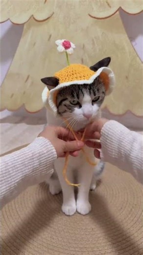 Floral Cat Hat: Adorable Kitten in a Blossom Bonnet