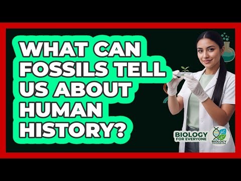 What Can Fossils Tell Us About Human History? - Biology For Everyone