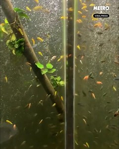 35K views · 201 reactions | Okay, this is the most extra bathroom we've ever seen  | Metro | Facebook