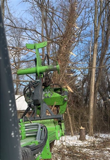 The Avant making quick work of this vine mess #miniloader #banditchipper #work #treeremoval #professional
