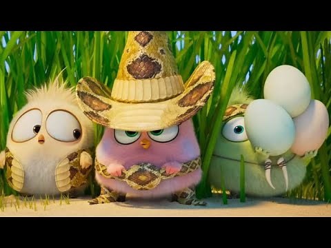 The Angry Birds Movie 2 (2019) - Wittle Sisters full Scene | Movie clips | |Best Scens|