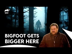 Massive Bigfoot Sightings Shake Up Minnesota Woods | Finding Bigfoot S2 E1 | Animal Planet