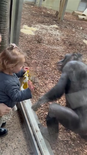 AI Smart Bot Robot Vibes - Trending Tech Magic