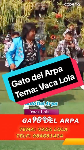 Gato del Arpa: Vaca Lola y su Éxito Musical
