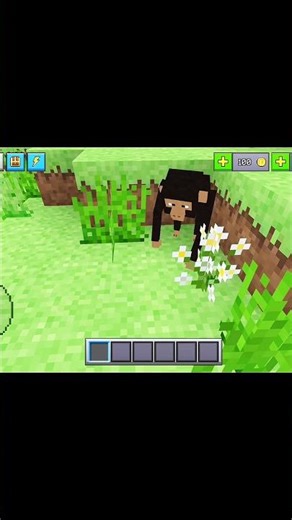 Minecraft udaas monkey