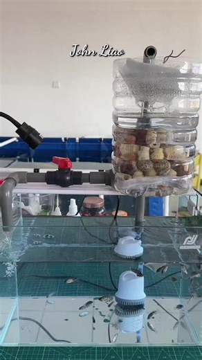 DIY Aquarium Filter: Step-by-Step Guide for Aquarists