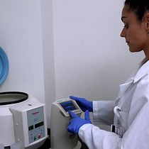 Video: A Triple Primary Cell Culture Model of the Human Blood-Brain Barrier for Studying Ischemic Stroke In Vitro