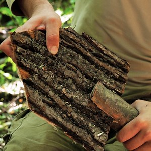 How to survive alone in wild | Transformazing