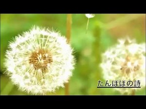 たんぽぽの詩／八木澤教司 作曲