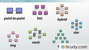 How Star, Bus, Ring & Mesh Topology Connect Computer Networks in Organizations