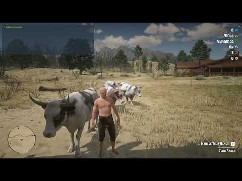 Ultimate Ranching Experience! Learn How to Use bcc-ranch for REDM Virtual Ranching.