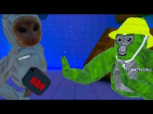 I got BANNED from capuchin.