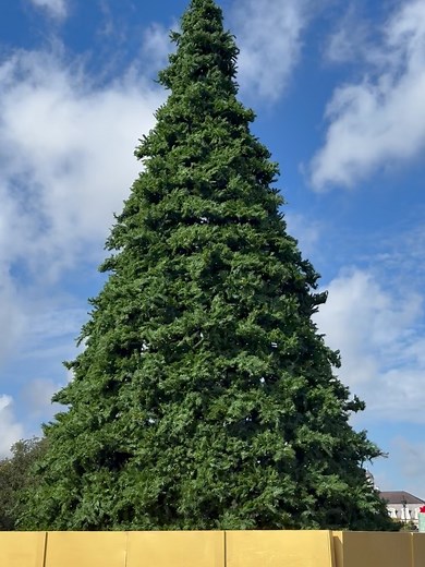 Café Du Monde on Reels