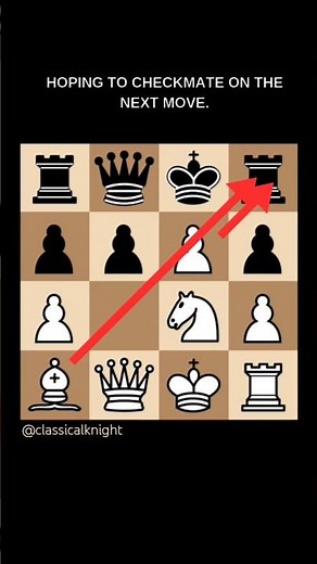 What If the Chess Board is 4 × 4 | Chess Variant #1