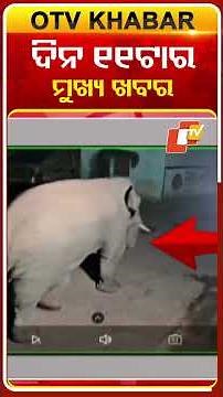 11AM Headlines | 21th December 2025 | #OTVshorts #OTVHeadlines | OTV