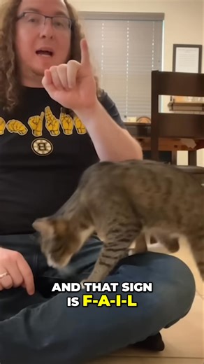 This corgi has *opinions.* When its owner uses the sign for a certain word, the reaction is instant. Seems like the dog knows exactly what "fail" means! 😂 Has your pet picked up on any surprising cues? #CorgiLife #DogReactions #SignLanguage #FunnyAnimals #DogTraining | Dogs Tips