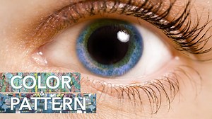 Great artists have a keen way of tapping into our visual system. They use color and pattern to stimulate our minds and evoke our emotions. But how? In this video, Allen Institute researchers visit the new exhibit Color & Pattern at Seattle’s Pivot Art Culture to show us how what our brain *expects* to see can have a strong impact on what it *does* see. | Allen Institute