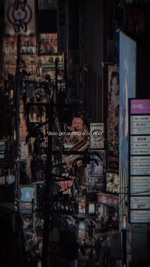 Cách Trồng Cây Dương Xỉ Tại Nhà