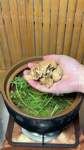 Don't Waste Carrot Leaves or Walnut Shells - Plant Science Unveiled