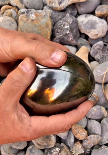 Discovering Ammonite Fossils on a Remote Beach