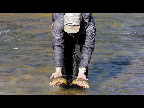 Arkansas River Fall Fishing Report| How to catch more fish in Browns Canyon National Monument!
